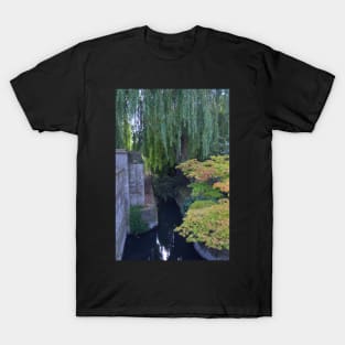 Pond with Maple Tree, Christ Church College, Oxford, UK T-Shirt